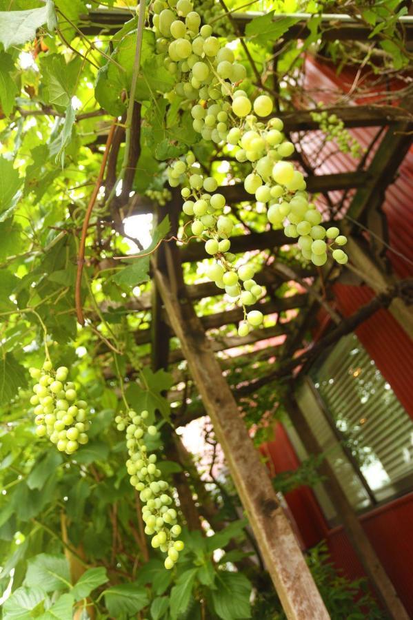 Hostel Grapehouse Koenji Präfektur Tokio Exterior foto